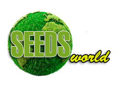 SeedsCannabis - Купить качественные семена конопли